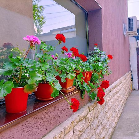 Luta Studio Bucarest Esterno foto